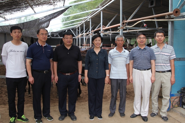 省委常委、宣传部长田向利到上三合义村调研指导伟德官网扶贫工作